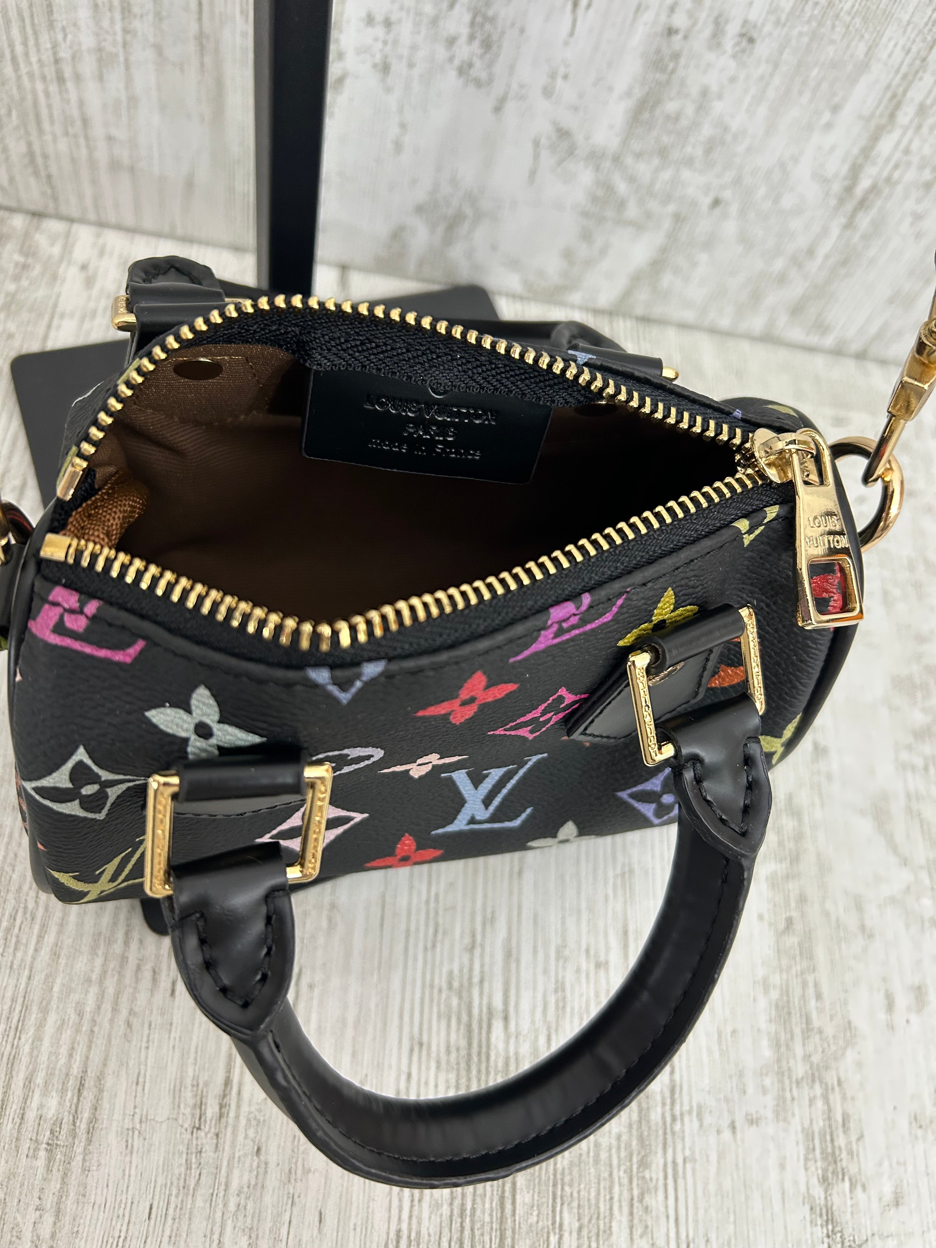 Louis Vuitton Mini Speedy